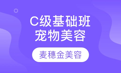 宠物C级基础班