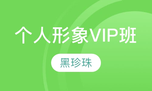 个人形象VIP班