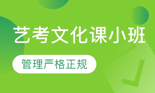 艺考文化课小班