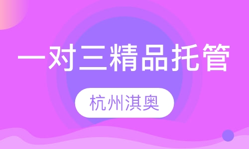 一对三精品托管