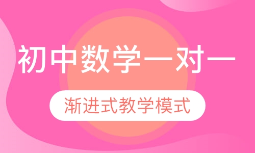 初中数学名师一对一