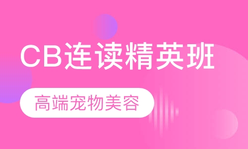 零基础CB连读精英班