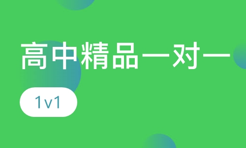 高中精品一对一