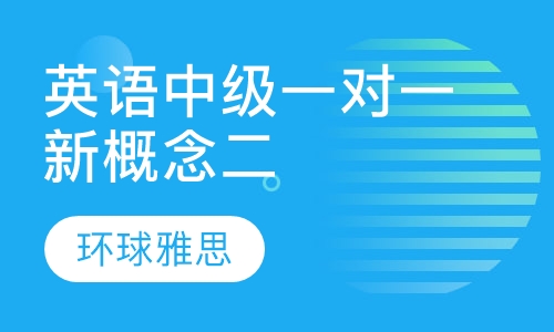 英语中级一对一新概念二/词汇/中级语法