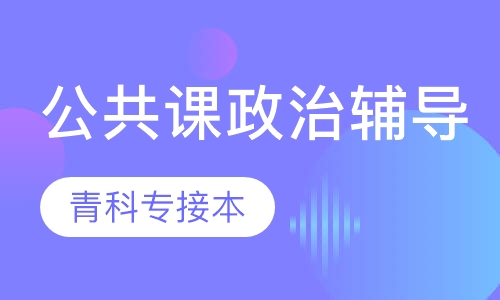 公共课政治辅导