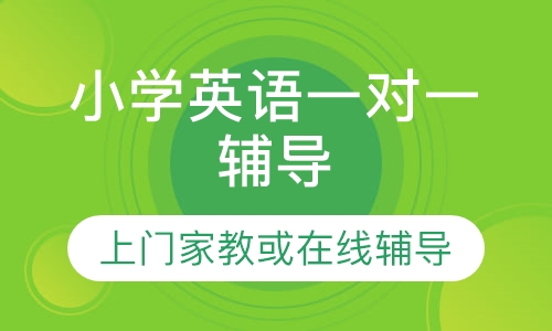直播课小学英语一对一辅导