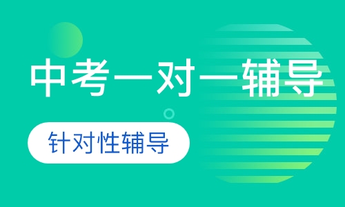 中考一对一辅导