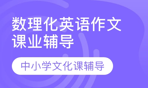 数理化英语作文课业辅导
