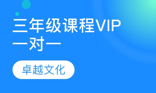卓越文化小学三年级课程VIP一对一