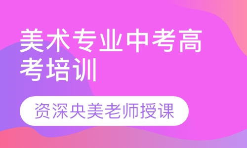 美术专业中考高考培训