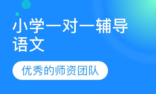 小学一对一辅导语文