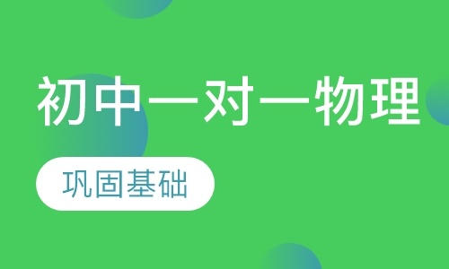 初中一对一物理辅导