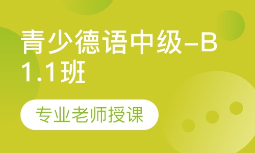 青少德语中级-B1.1班