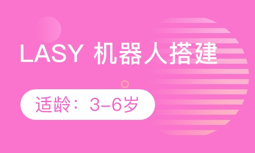 LASY 机器人搭建