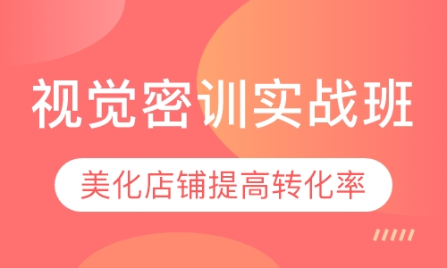 视觉密训实战班