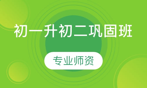 初一升初二巩固班