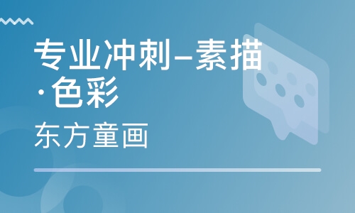 专业冲刺-素描·色彩