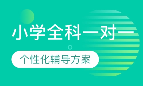 小学全科一对一
