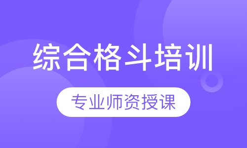 综合格斗培训