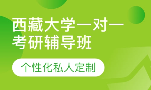 直播课西藏大学一对一考研辅导班