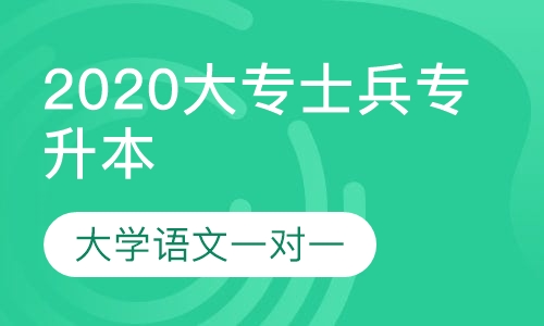 2020军考大专战士专升本大学语文一对一