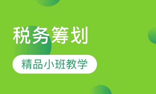 战略税务筹划与风险管理