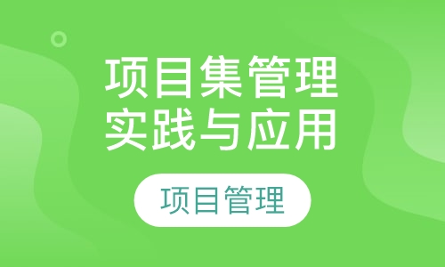 国际项目集管理实践与实战应用