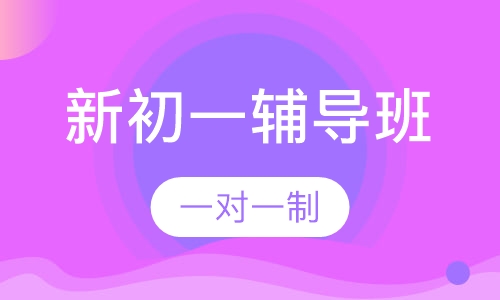 双师课+录播课+直播课新初一辅导班