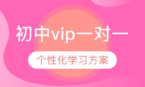 初中vip一对一辅导