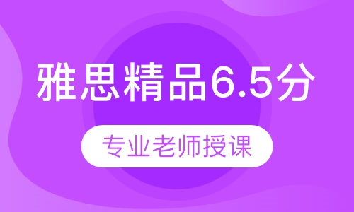 雅思精品6.5分班