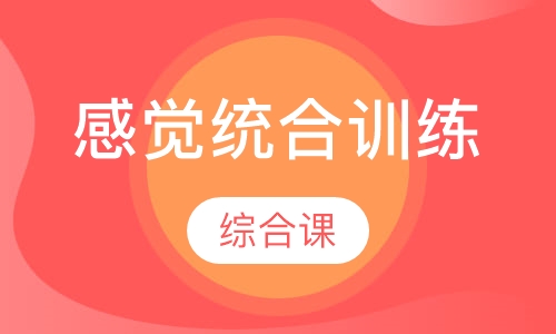 感觉统合训练课