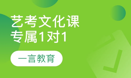艺考生文化课辅导专属1对1