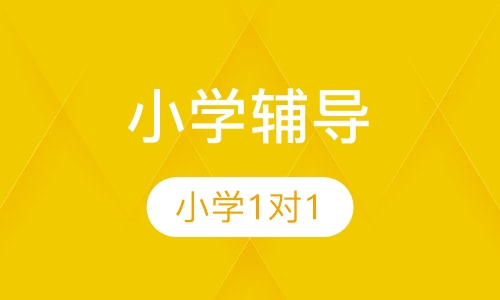 小学辅导--星火1对1