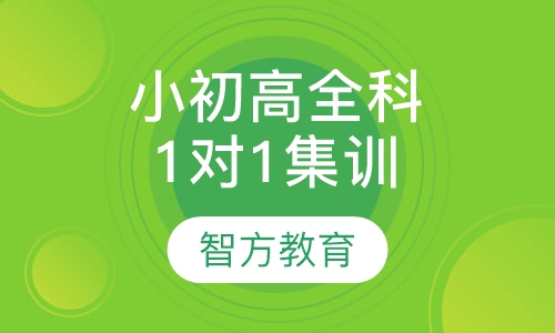 小初高全科辅导1对1集训