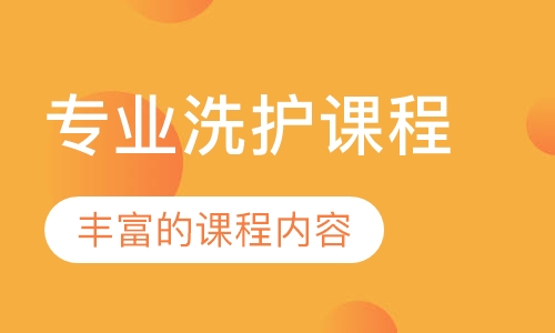 专业洗护课程