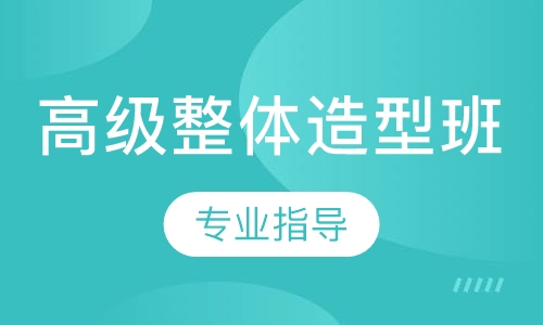 高级整体造型班