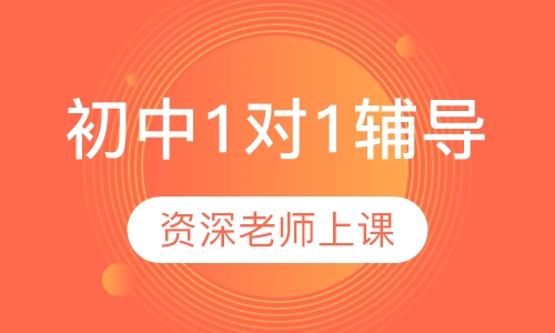 初中1对1辅导