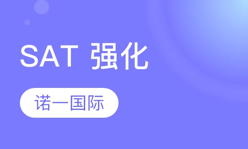 SAT 强化