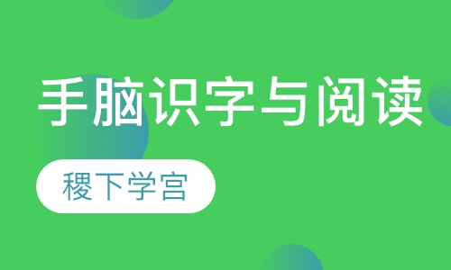 手脑识字与阅读