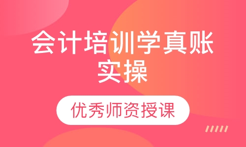 会计培训学真账实操 一对一教学