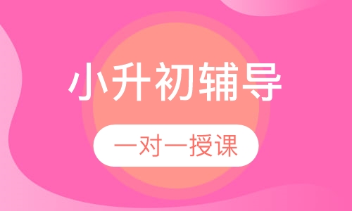 小升初一对一辅导