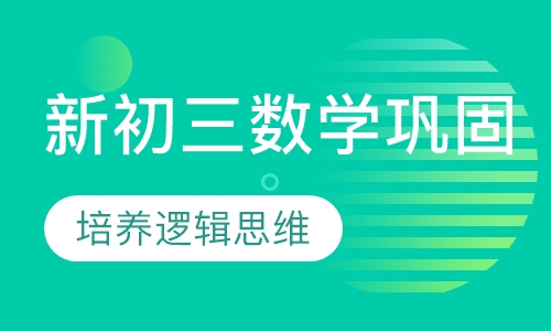 新初三数学巩固班