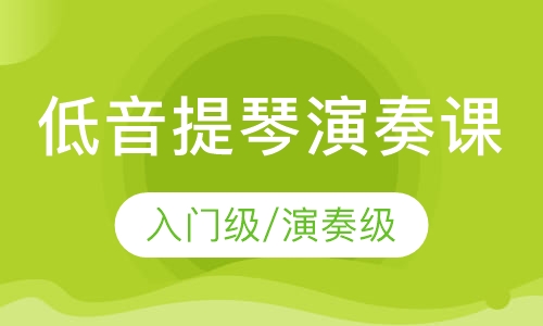 低音贝斯 入门级/演奏级