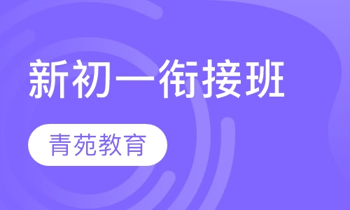 新初一衔接班