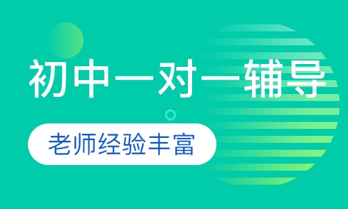 初中一对一辅导