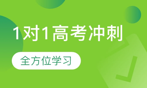 1对1高考冲刺特训营