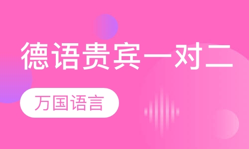 德语贵宾VIP一对二
