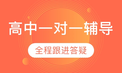 高中名校名师一对一辅导
