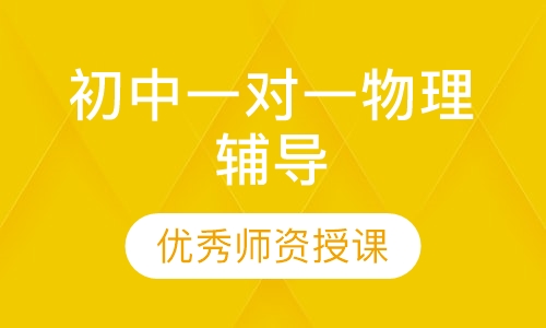 初中一对一物理辅导