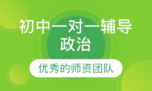 初中一对一辅导政治